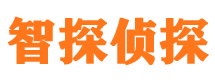 榆阳侦探公司